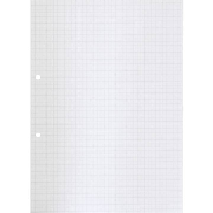 NATURALINE Foglio di input (A4, Quadrettato, 500 foglio)