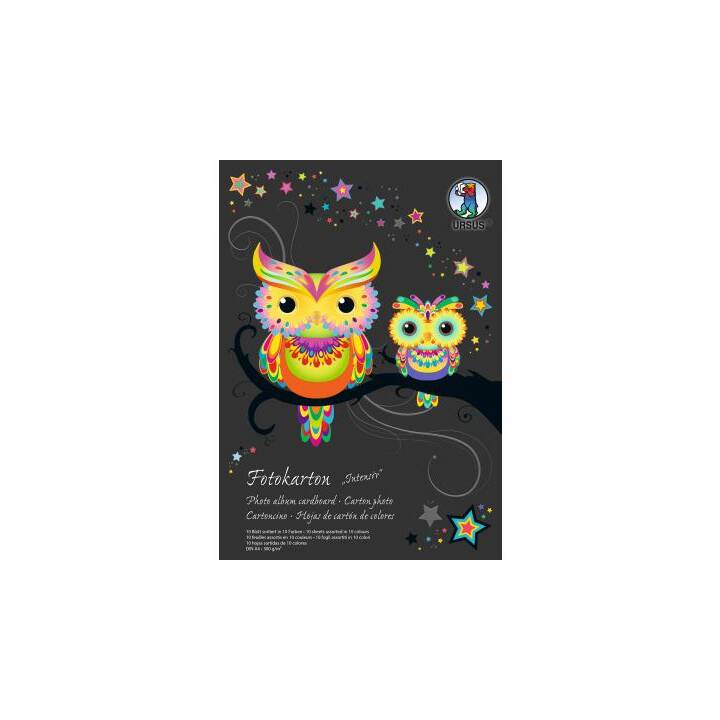 Carton Photo Ursus 300 G/m², Format A4, 9 Feuilles Motifs Différents (bois, Brique, Gazon…) Pour Modélisme Et DIY