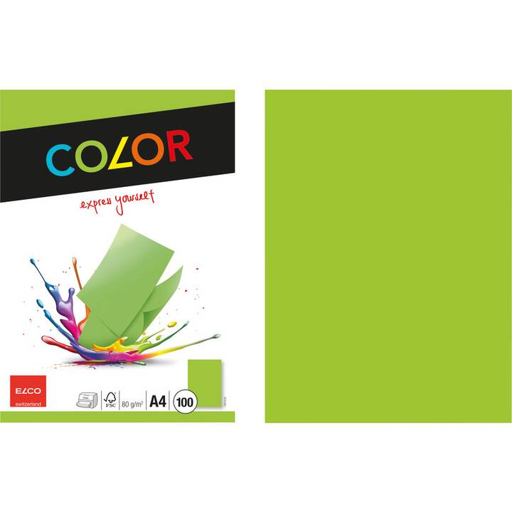 ELCO Office Carta colorata (100 foglio, A4, 80 g/m2)