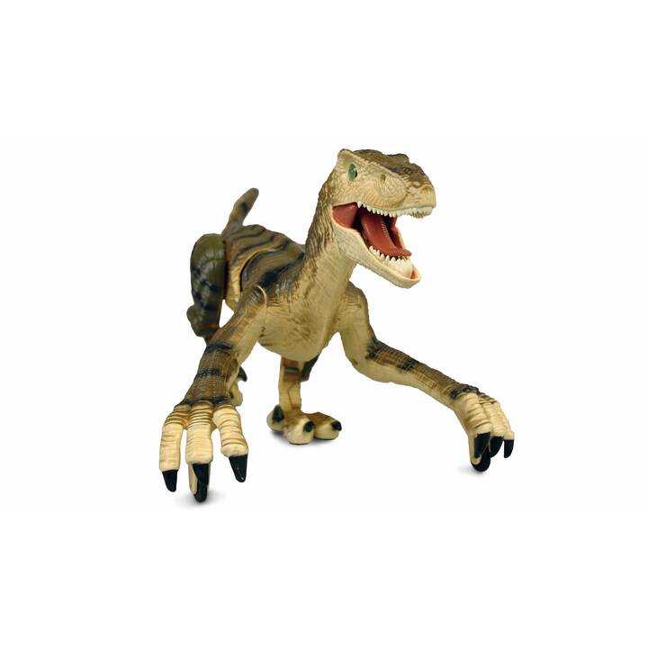 AMEWI Velociraptor