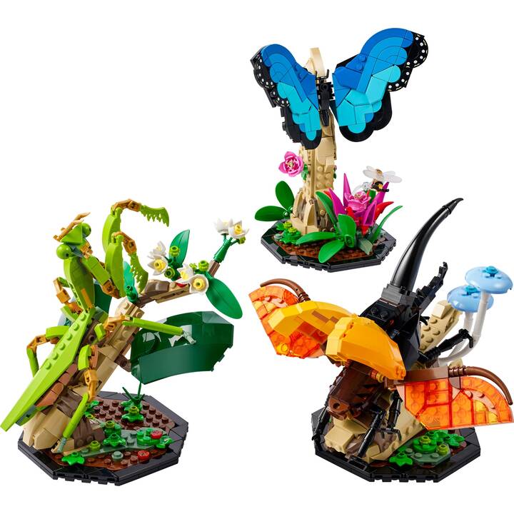 LEGO Ideas Die Insektensammlung (21342, seltenes Set)