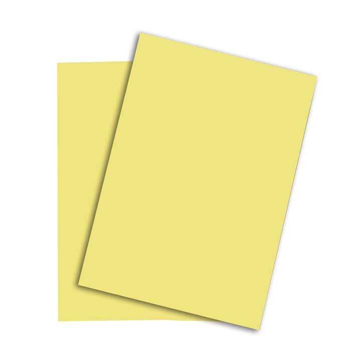 PAPYRUS Rainbow Papier couleur (250 feuille, A4, 120 g/m2)