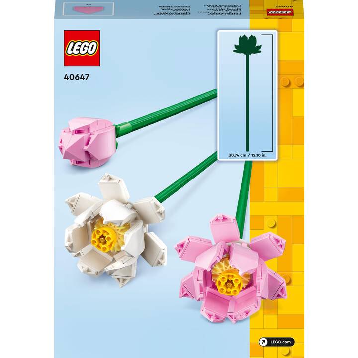 LEGO Icons Les fleurs de lotus (40647)