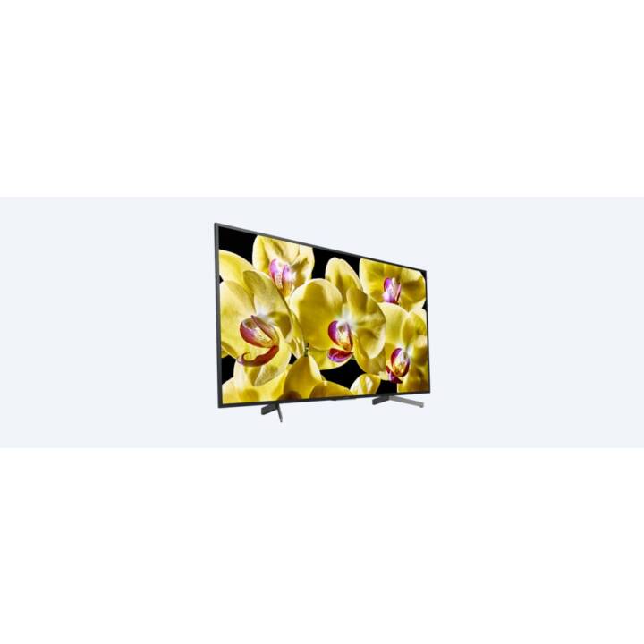 SONY KD-43XG8096 Smart TV (43", LCD, Ultra HD - 4K)