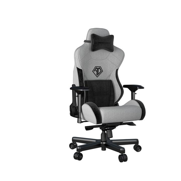 ANDA SEAT Gaming Stuhl T-Pro II (Schwarz, Grau)