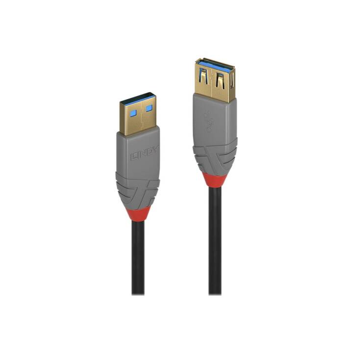 LINDY USB-Kabel (USB 3.0 Typ-A, USB 3.0 Typ-A, 50 cm)