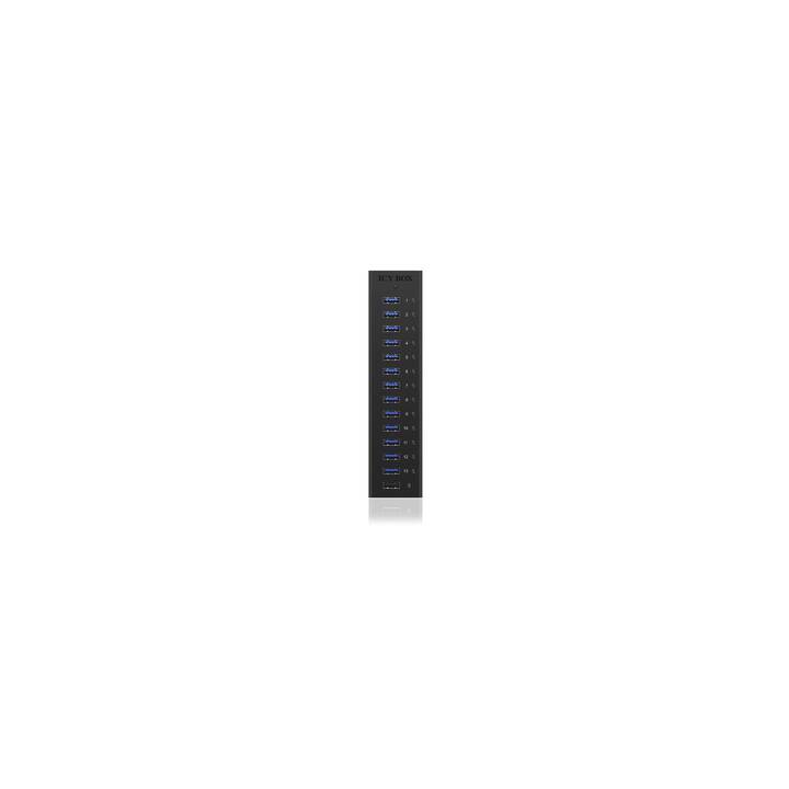 ICY BOX IB-AC6113 (13 Ports, USB Typ-A)