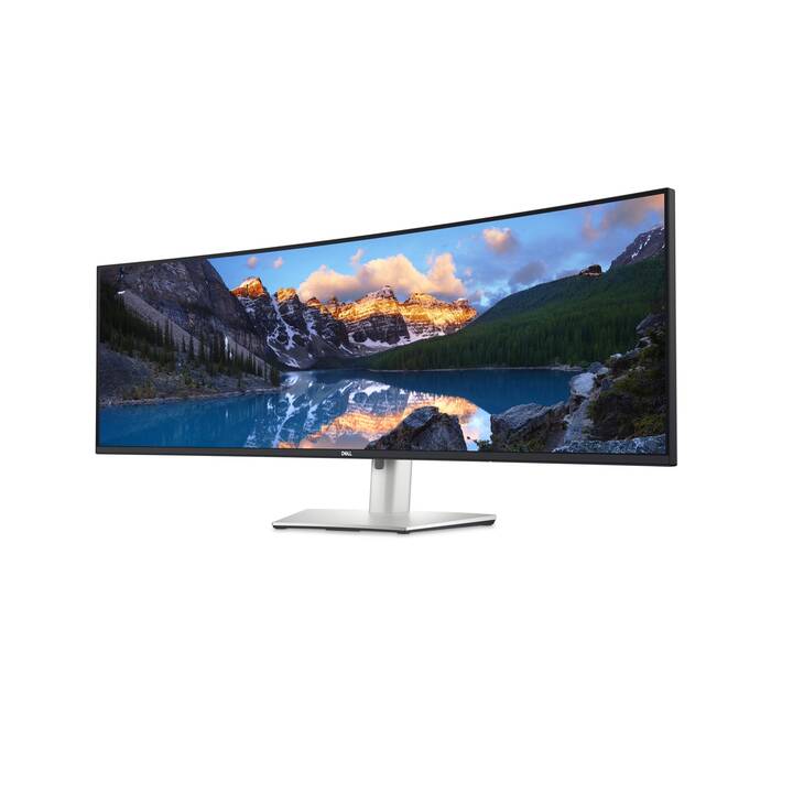 DELL U4924DW (49", 5120 x 1440)