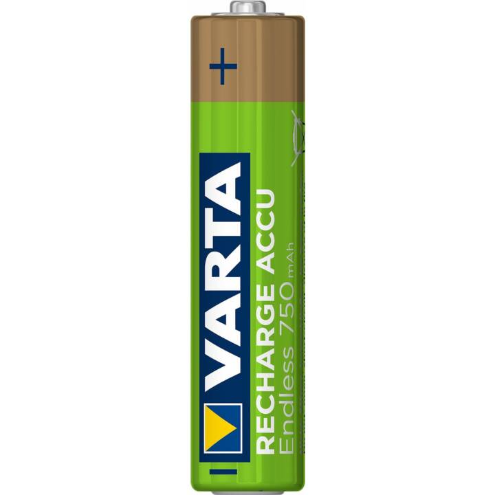 VARTA Endless Batteria (AAA / Micro / LR03, Universale, 2 pezzo)