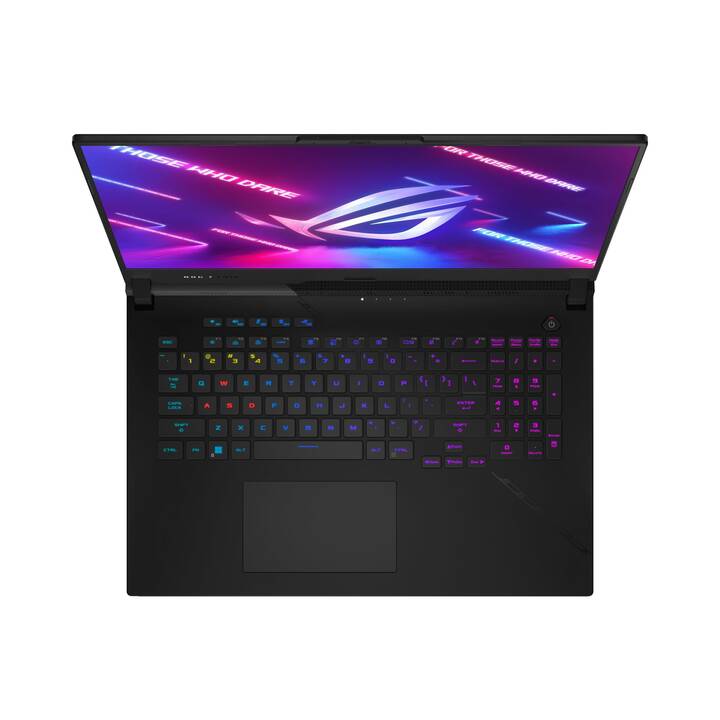 ASUS ROG Strix SCAR 17 G733PZV-LL107W (17.3", AMD Ryzen 9, 32 GB RAM, 2000 GB SSD)