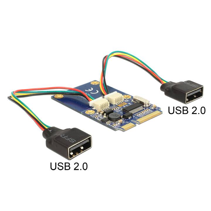 DELOCK Carte d'interface (2 x USB A)