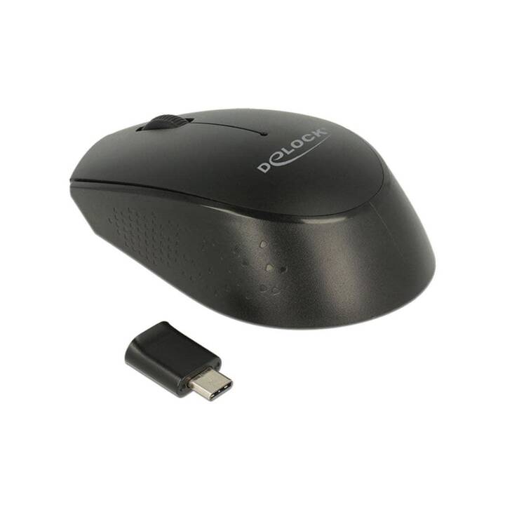 DELOCK 12526 Mouse (Senza fili, Office)