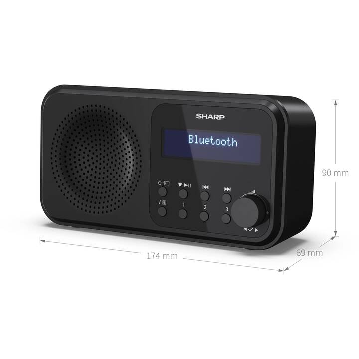 SHARP DR-P420 Digitalradio (Schwarz)