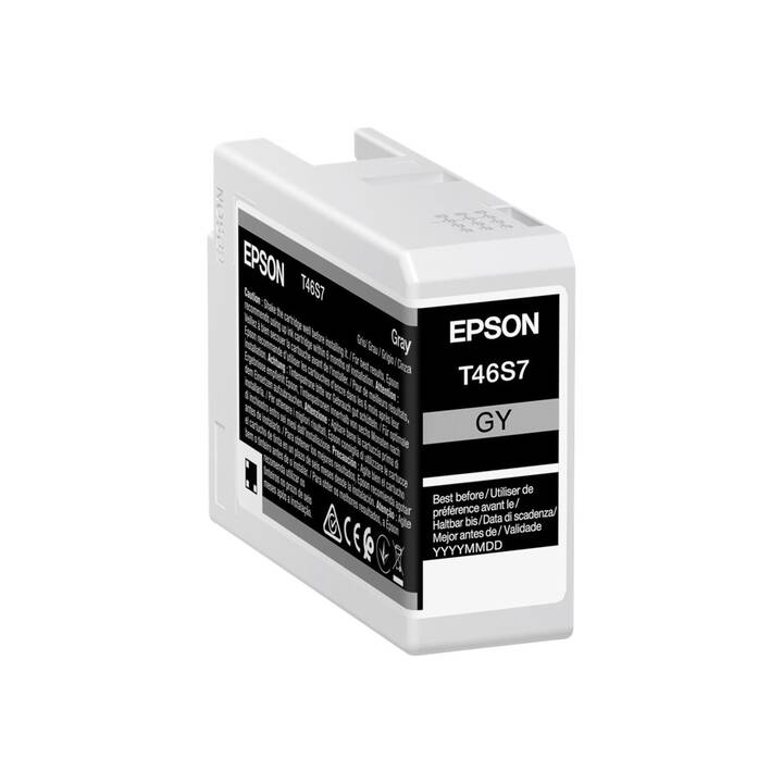 EPSON T46S7 (Grau, 1 Stück)