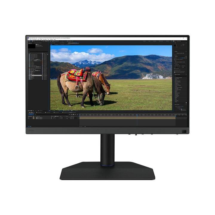 BENQ PhotoVue SW272U (27", 3840 x 2160)