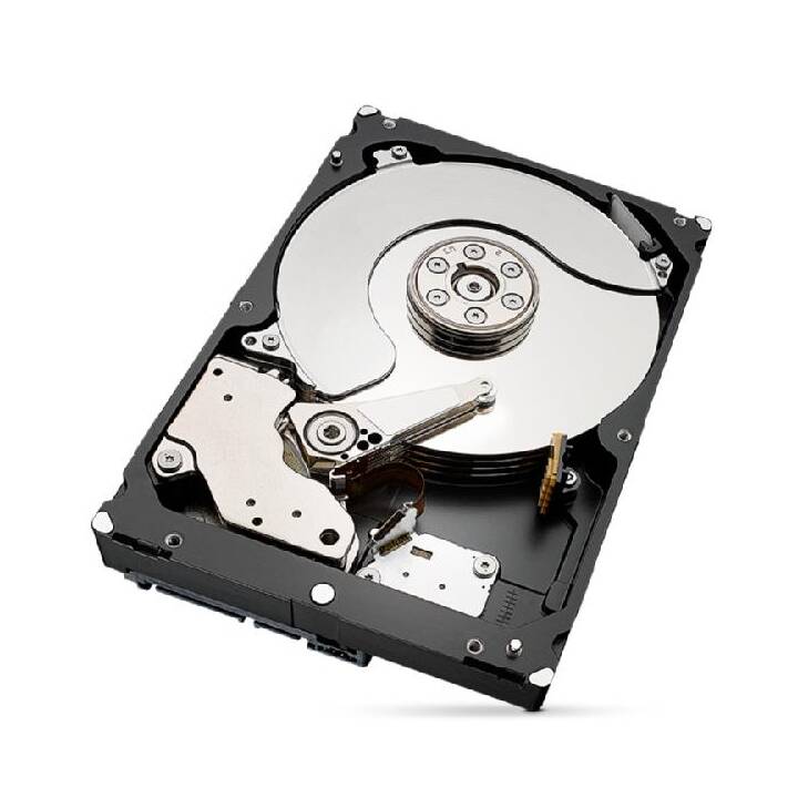 SEAGATE IronWolf Pro ST4000NT001 (SATA-III, 4000 GB)