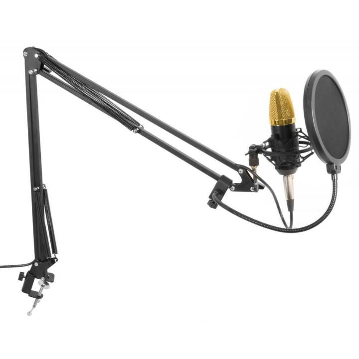 VONYX CMS400B Microfono direzionale (Nero, Oro)