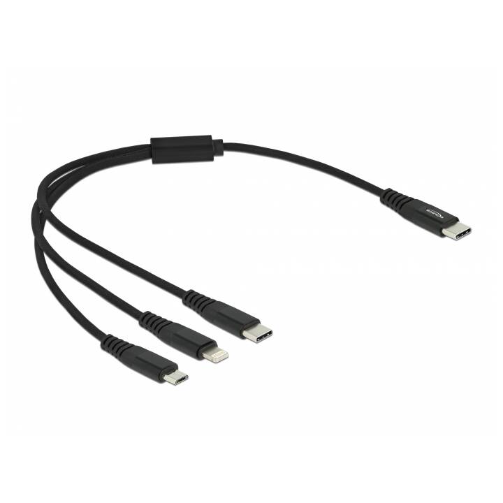 DELOCK USB-Kabel (USB 2.0 Typ-C, Micro USB, USB Typ-C, Lightning, 30 cm)