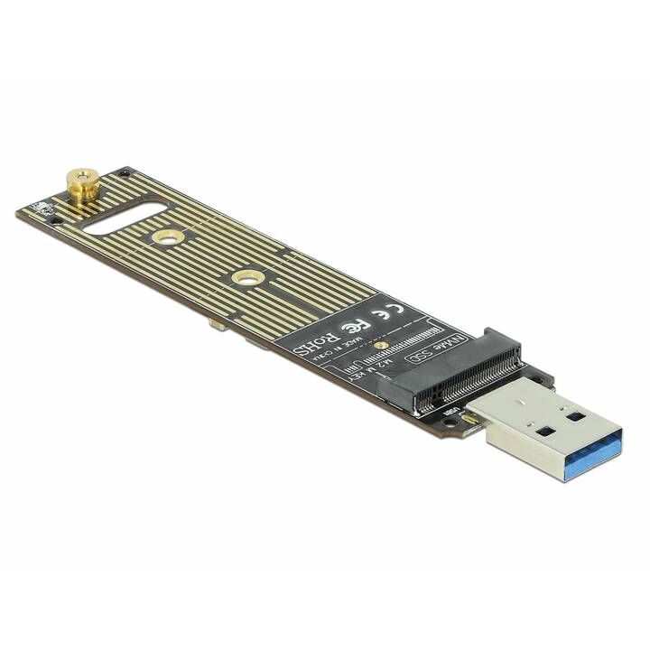 DELOCK Hostbus-Adapter (USB 3.1 Gen 2 Typ-A)
