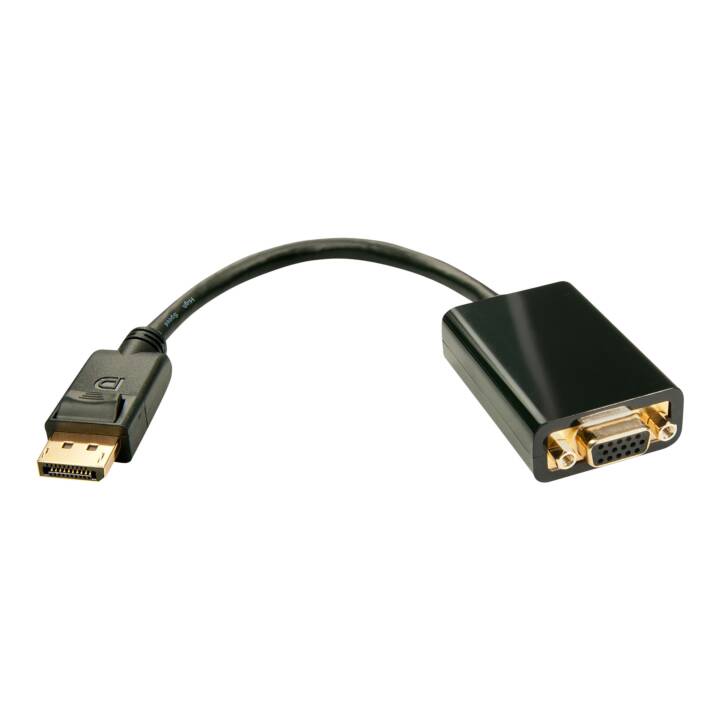 LINDY 41006 Adaptateur vidéo (DisplayPort)