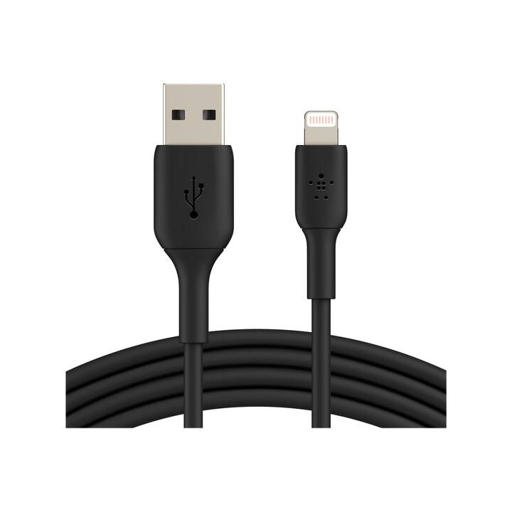 BELKIN Câble (Lightning, USB 2.0 Type-A, 1 m)