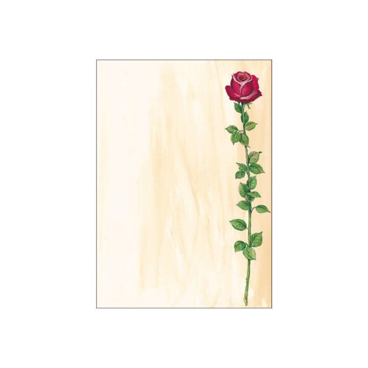 SIGEL Rose Bloom Farbiges Papier (25 Blatt, A4, 90 g/m2)