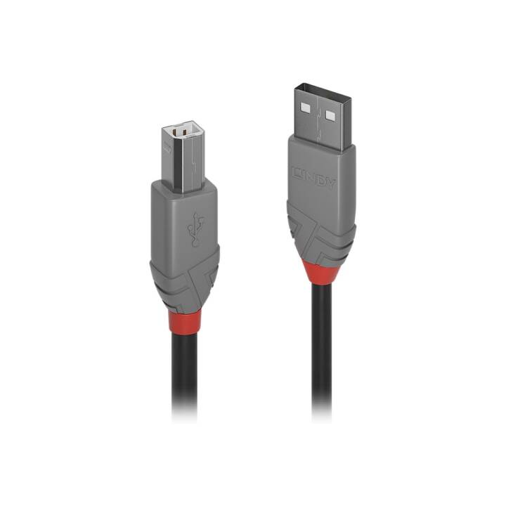 LINDY Câble USB (Micro USB 2.0 de type B, USB 2.0 de type A, 2 m)