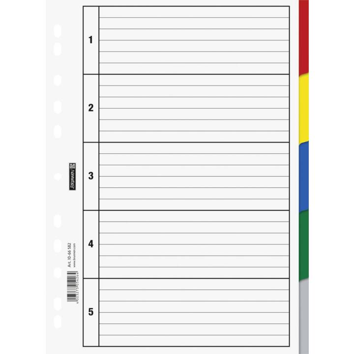 BRUNNEN Register (5 x A4, Farblich)