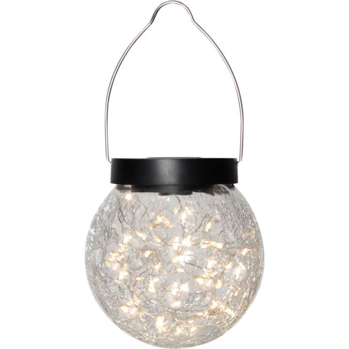 STAR TRADING Lampe solaire Glory (0.03 W, Transparent)