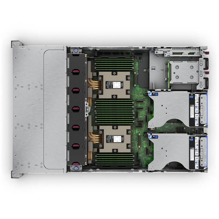 HEWLETT PACKARD ENTERPRISE ProLiant DL385 Gen11 (AMD EPYC , 32 GB, 3 GHz)