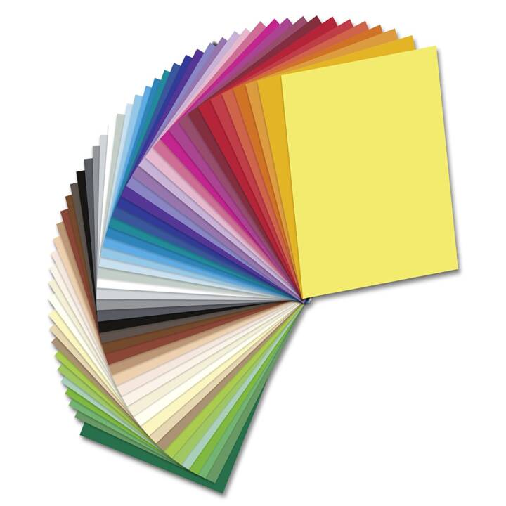 FOLIA Carton 50er (Multicolore, 50 pièce)