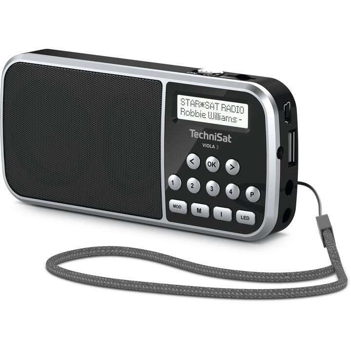 TECHNISAT Viola 3 Radio digitale (Argento, Black)