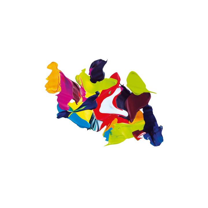 AMSTERDAM Colore acrilica Set (12 x 20 ml, Multicolore)