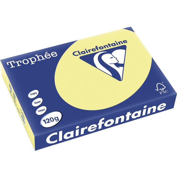 CLAIREFONTAINE Carta colorata (250 foglio, A4, 120 g/m2)