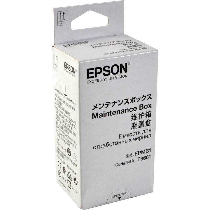 EPSON T366100 (1 pièce)